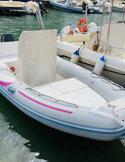 NuovaJolly king490